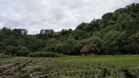 a shirakawago house