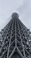 Toky skytree