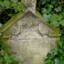 Old Grave Hidden in Foliage