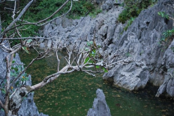 on top view of the river