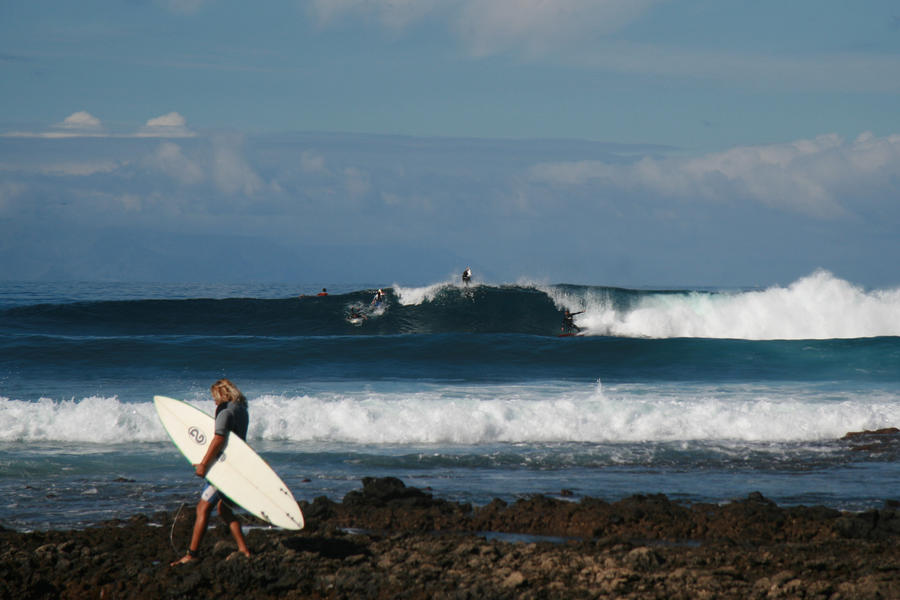 surfs up