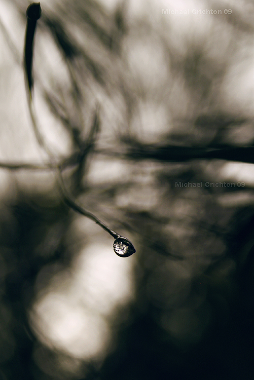 Approaching by crichton380