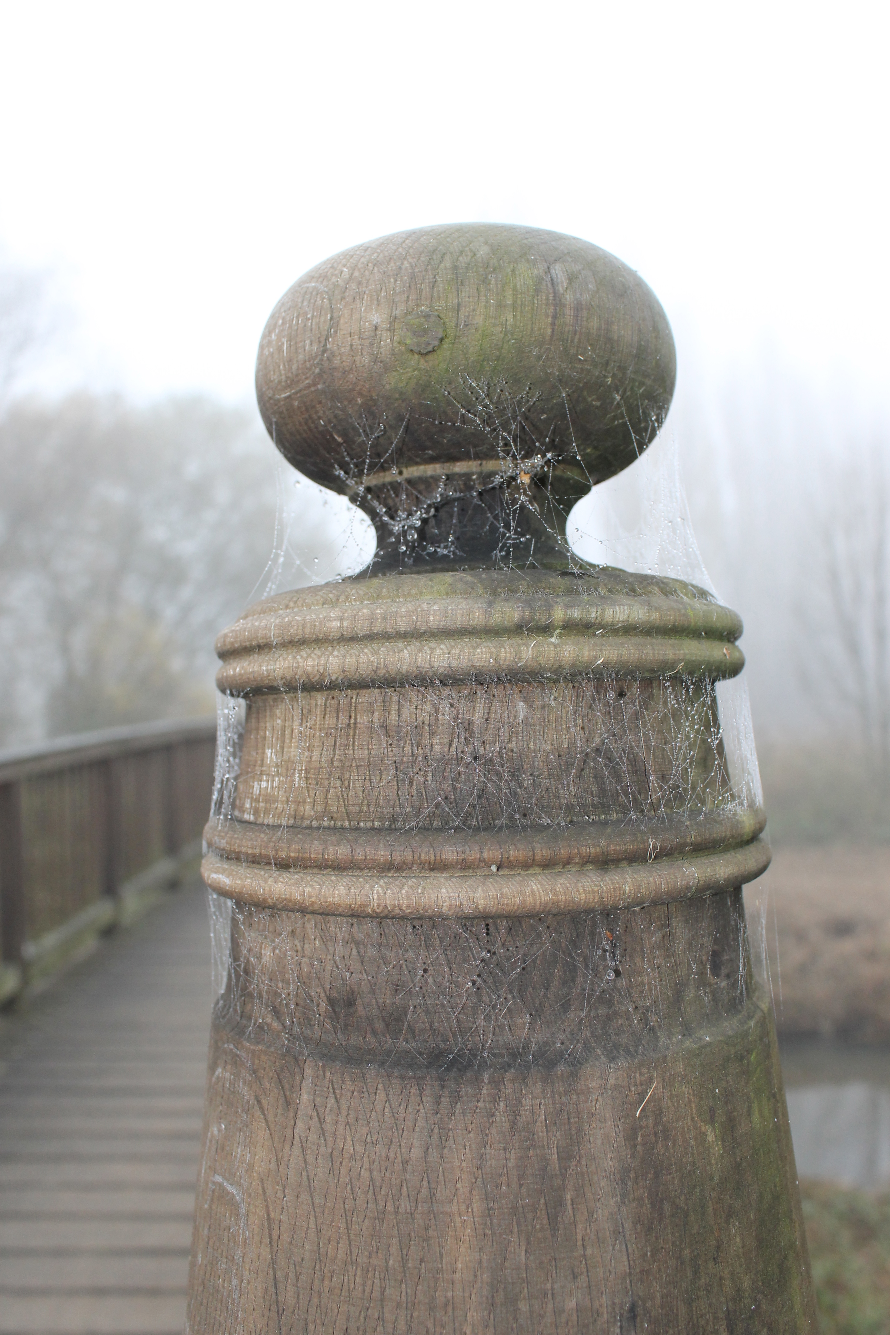 Column owned by spiders