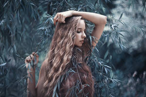 Portrait of Tanya by Ultradevious Portrait of Tanya by Ultradevious