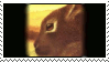Watership Down Stamp by MintChocolate2
