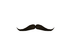 MMD - Mustache accessory