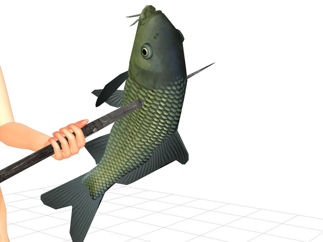 Carp By Wampa842 On DeviantArt carp-by-wampa842-on-deviantart