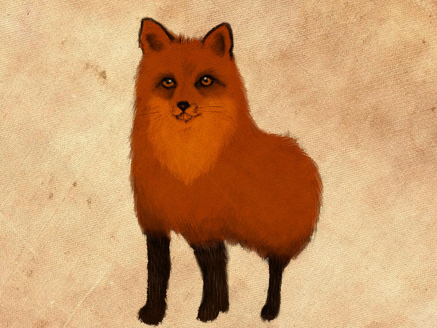 fox