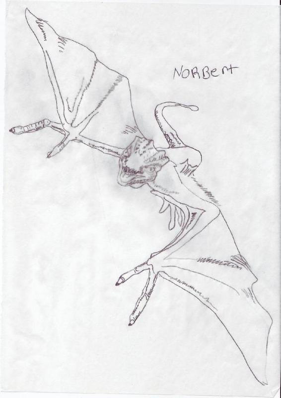 Norbert Dragon Harry Potter Norbert dragon by dar1989 on DeviantArt