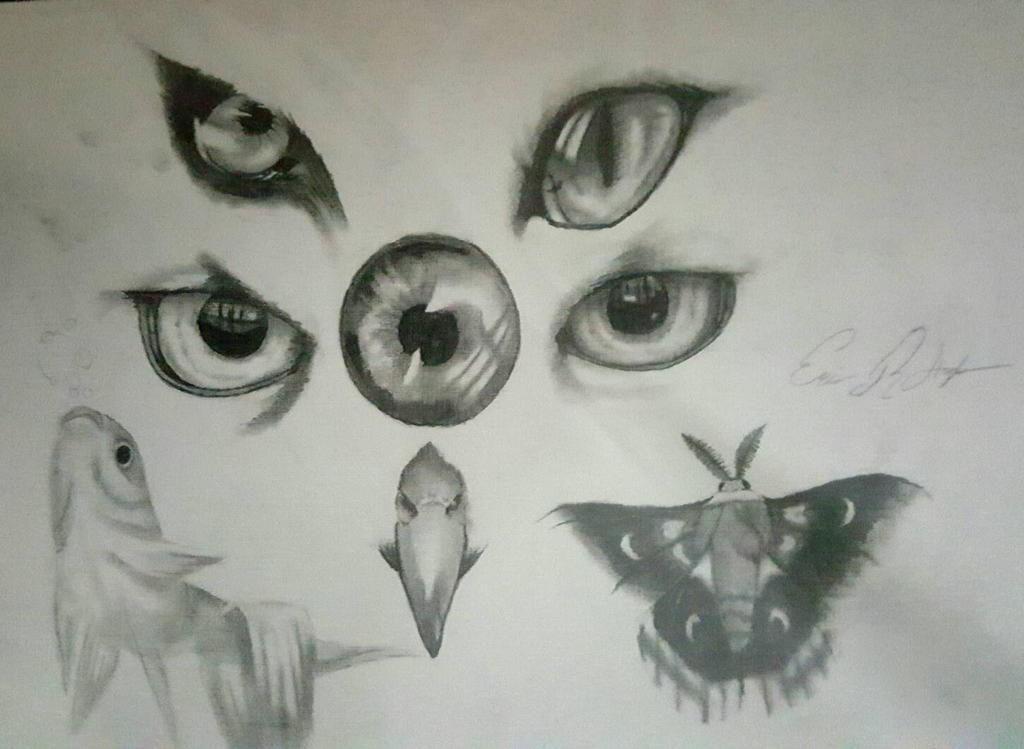Eyes of Eden