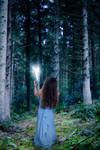 Found a Faerie by joannastar