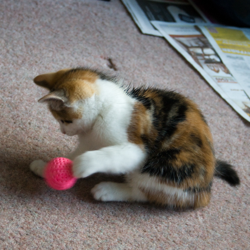 Chui and her Ball