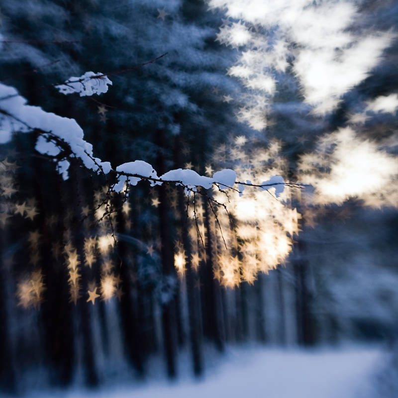 frozen stars: snow at sunset by joannastar