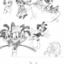 Animaniacs Study