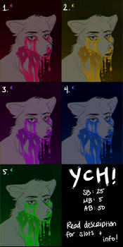 YCH - overflow OPEN