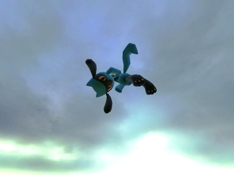 Riolu Fight by Yumitsu on DeviantArt