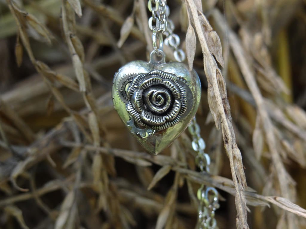 Steampunk rose locket