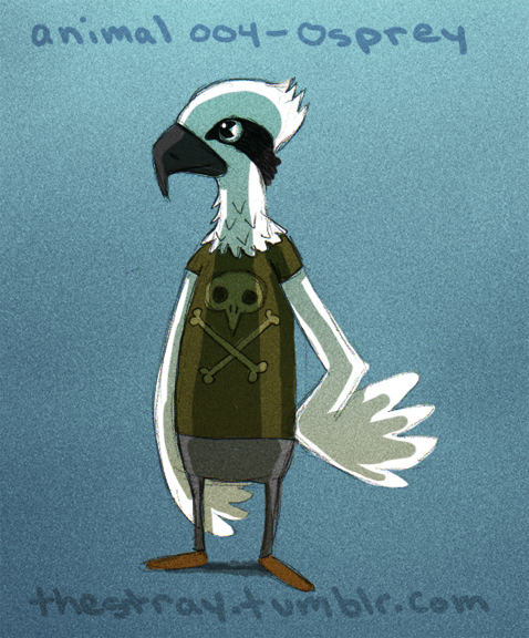 Daily Critter 004 of 365 Osprey