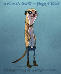 Daily Critter 005 of 365 Meerkat