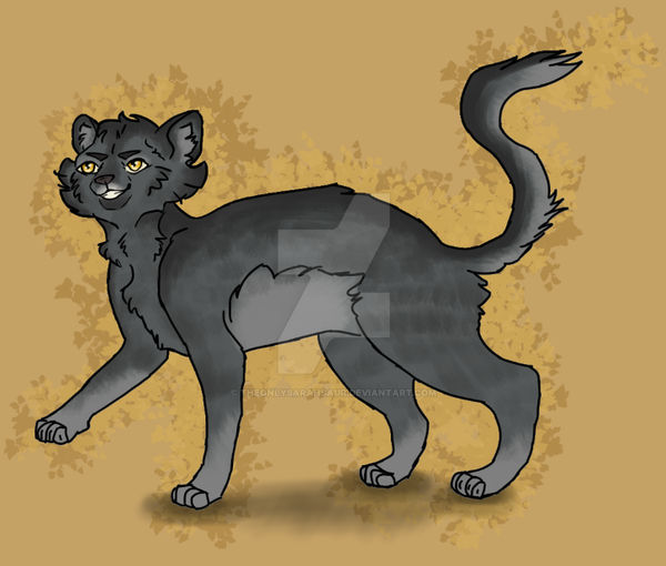 Warriors Fanart Pt 1 Greypaw By TheOnlySarahsaur On DeviantArt warriors-fanart-pt-1-greypaw-by-theonlysarahsaur-on-deviantart