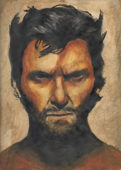 Hugh Jackman as Wolverine