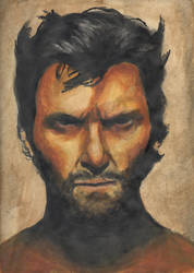 Hugh Jackman as Wolverine