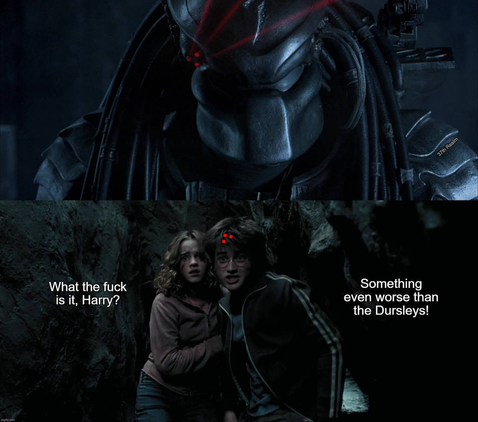 Harry Potter vs Predator