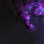 Loop - Through the Wormhole-2