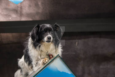 ..climbing on the cube, looking into the eyes