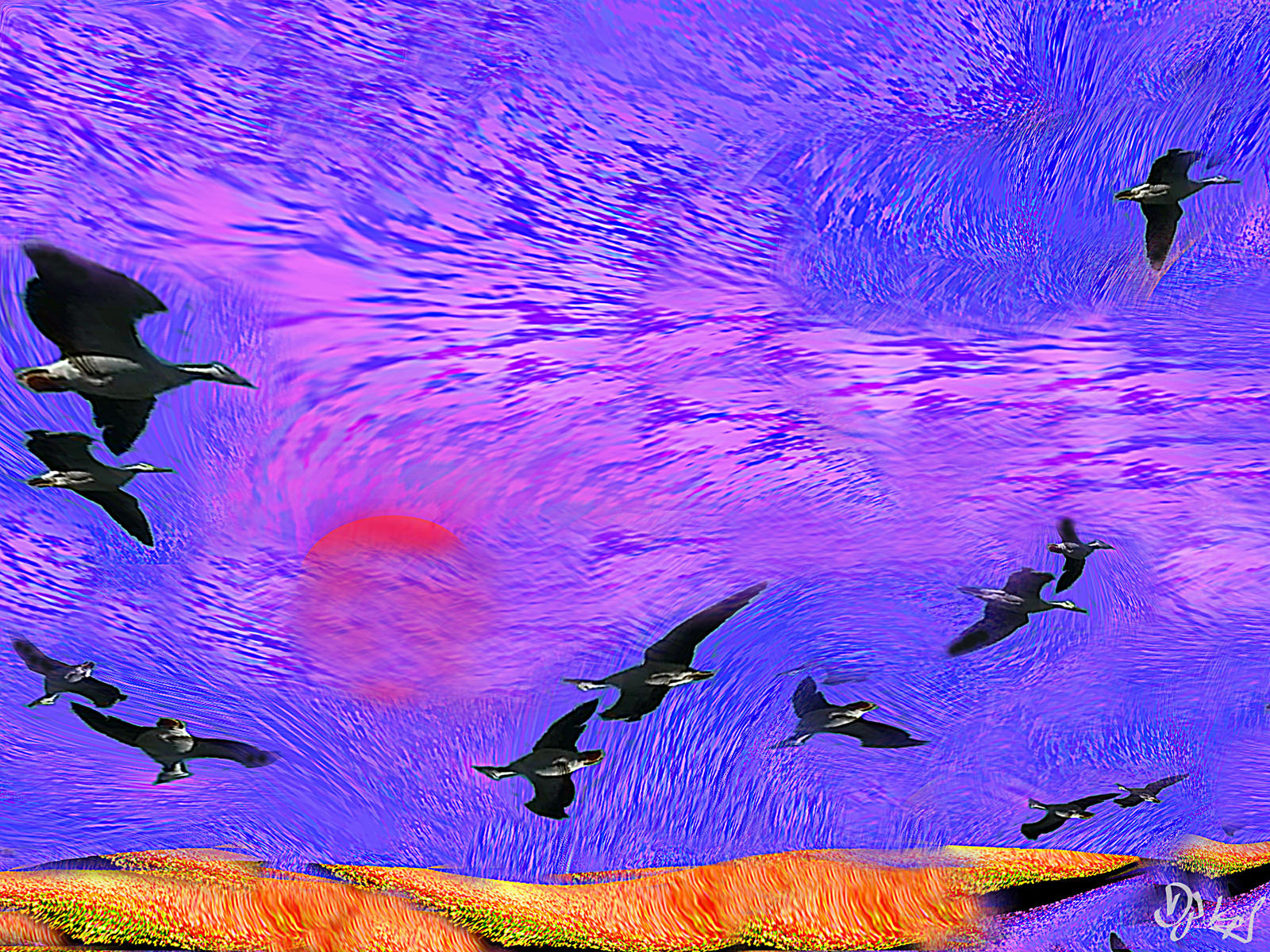 Sea Birds by DJKpf on DeviantArt