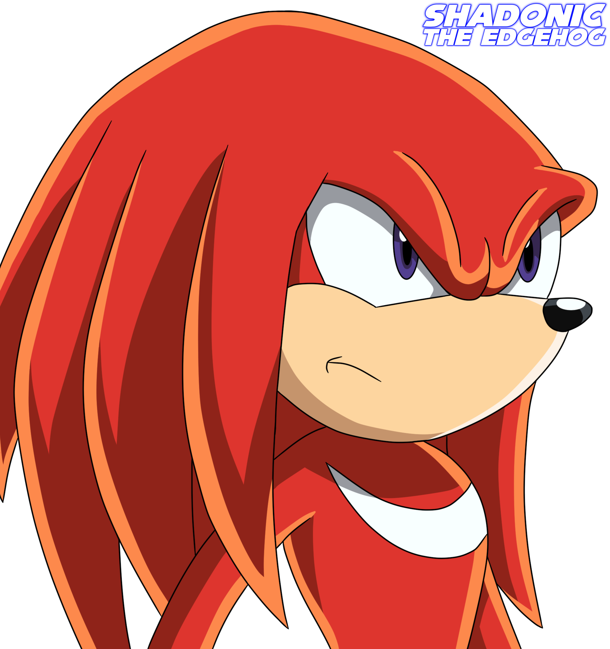 Knuckles The Echidna Sonic X