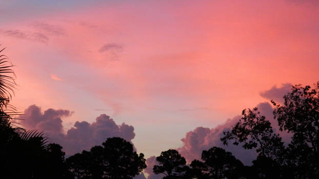 Clouds and trees!