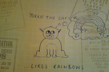 Yorkie the Cat