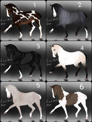 Horse Adopts - (6/6 Open)