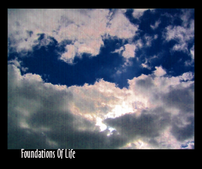 foundations of life