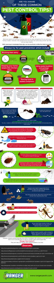 Are You Aware of These Common Pest Control Tips