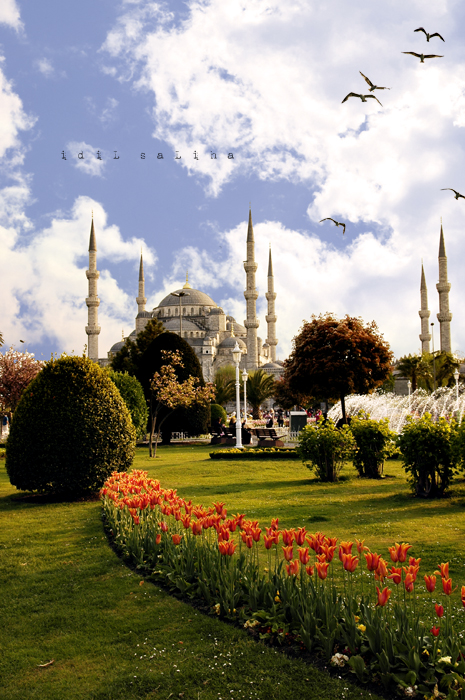 Blue Mosque in istanbul