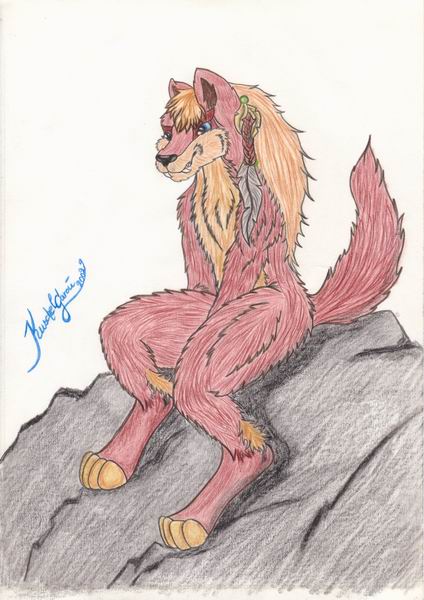 Wolf on the Beach by KuschelGarou