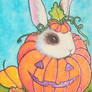 Bunny's Favorite Season