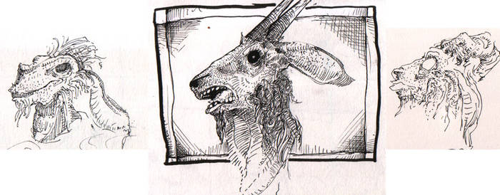 goat portraits