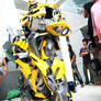 Cosplay : Bumblebee