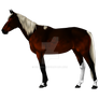 **Updated!!** Unnamed Stallion