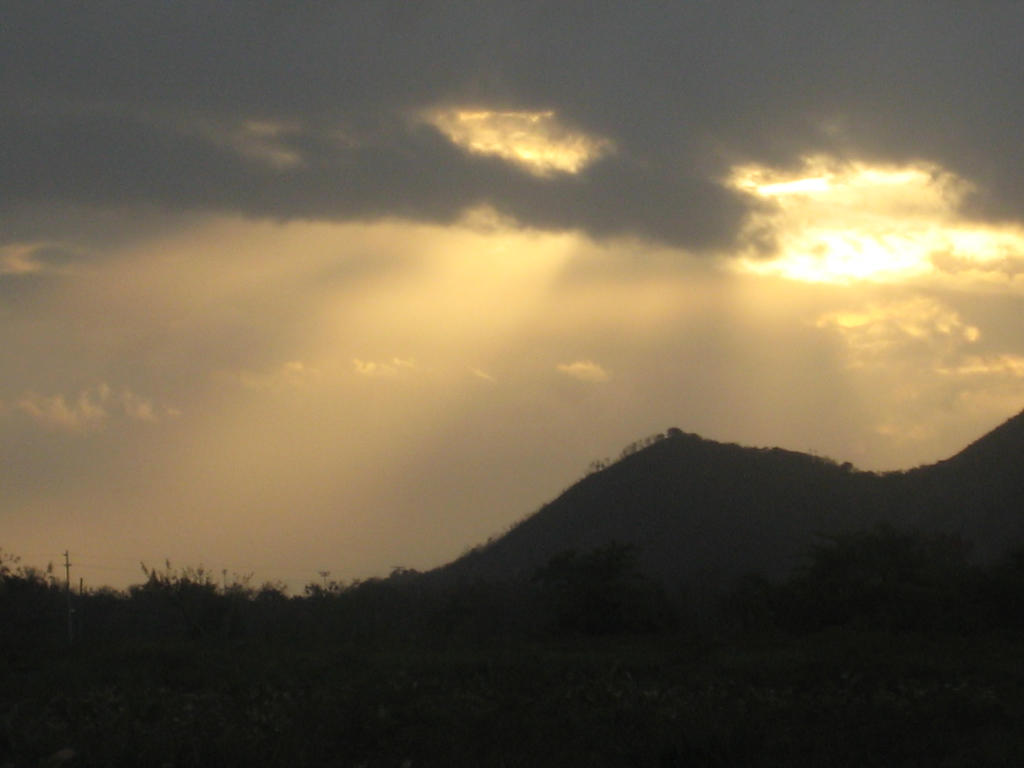 Rays Of Light