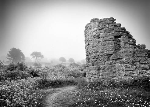 Visby town wall in mist