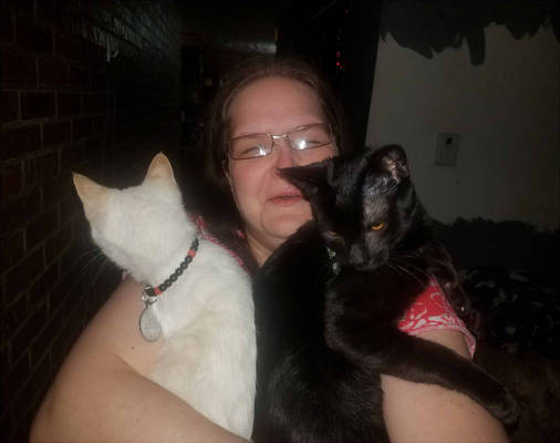 Me and my Cats