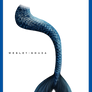 Mermaid Tail - blue version