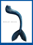 Mermaid Tail - blue version