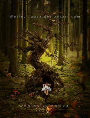 Comes Alice to the Wonderland - New Collection by Wesley-Souza Comes Alice to the Wonderland - New Collection by Wesley-Souza