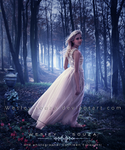 Lovely Girl by Wesley-Souza Lovely Girl by Wesley-Souza