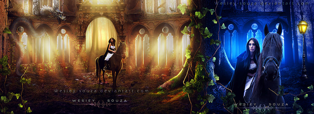 The traveler by Wesley-Souza The traveler by Wesley-Souza